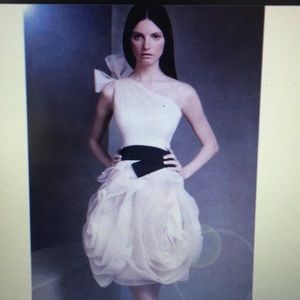 Vera Wang one shoulder organza bridesmaid dress.